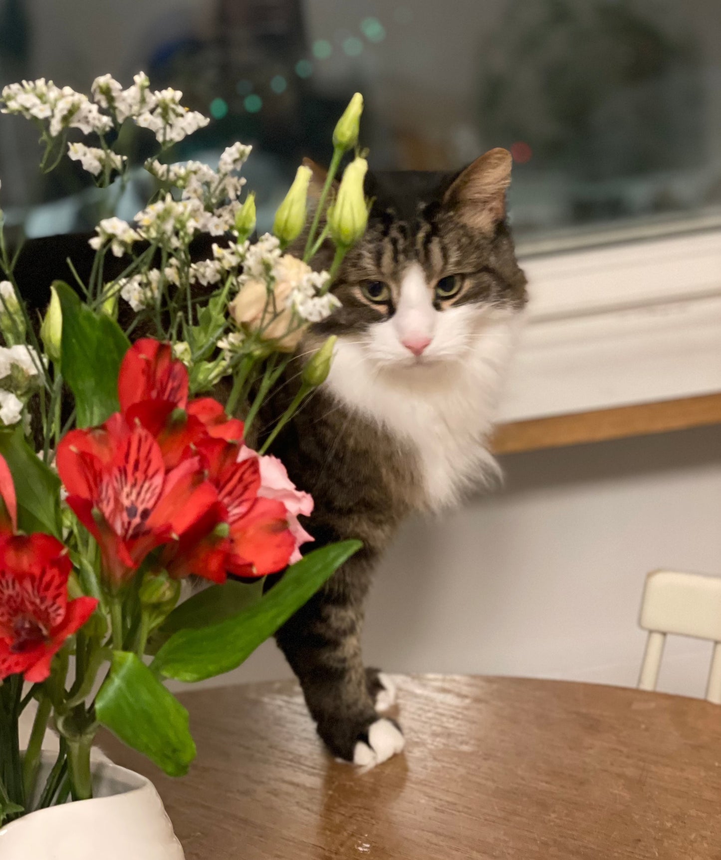 Cat-friendly clipping bundle from