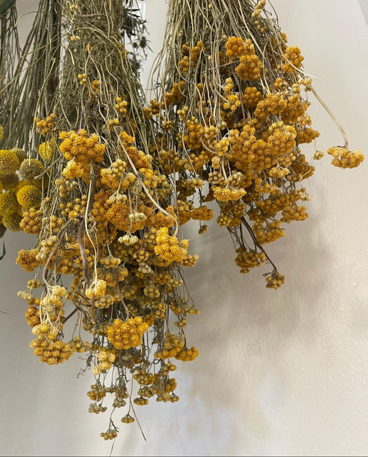 Dried Flower Buffet 🌾 Sat 13.9.
